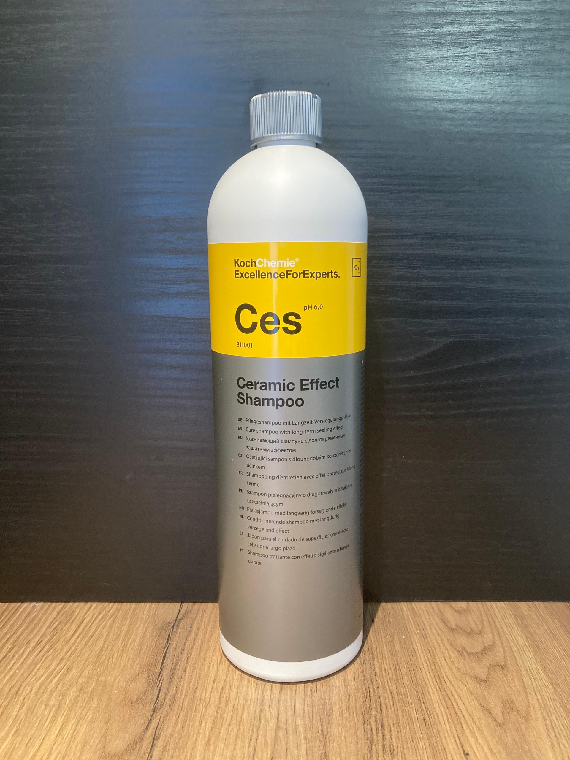 CES